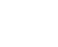 nftfi-icon